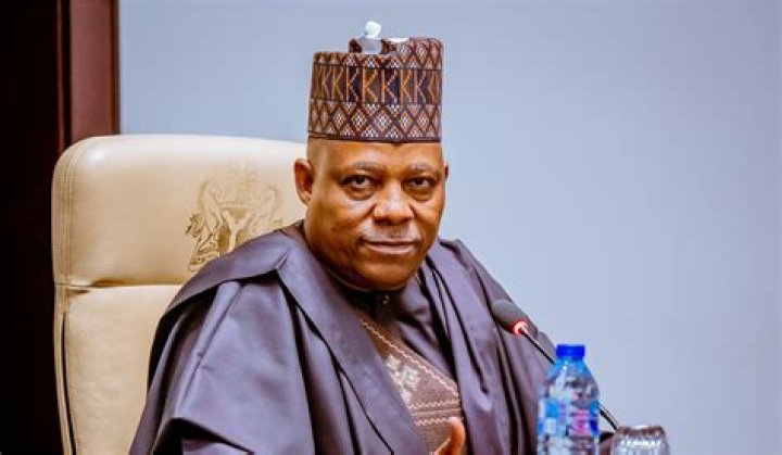 
In 2022, how much money would Kashim Shettima have? How wealthy is Borno State’s former governor? 