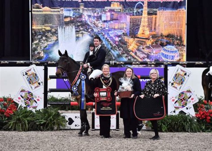 
Meet Conor Swail Wife Chrissie Swail – How Rich Is The International Irish Show Jumper? 