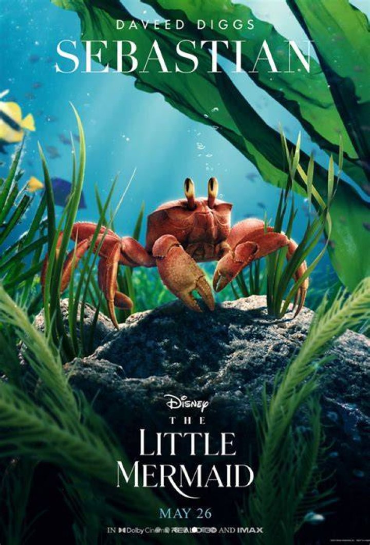 
Where is the new little Mermaid being filmed? 